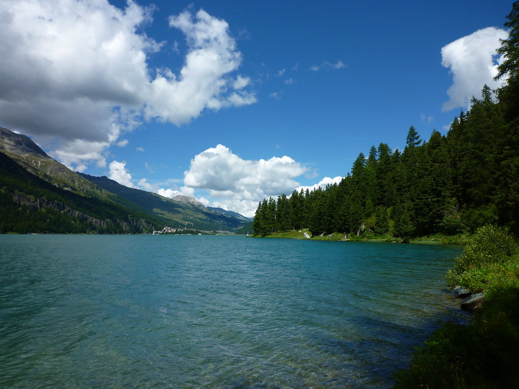 Lac de Silvaplana | Balade entre Surlej et Sils Maria | Francine Vernez ...