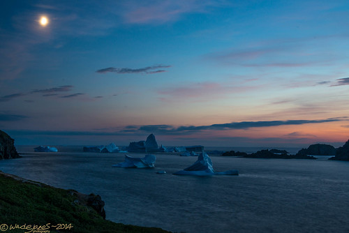 ocean lighthouse ice newfoundland twilight nikon labrador atlantic moonlight iceberg tamron d800 longpoint twillingate tamron2875