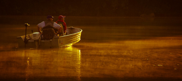 Golden Light @ Silver Lake