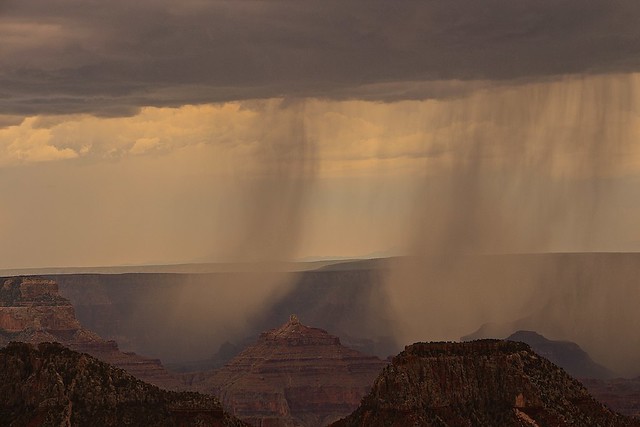 Grand Canyon North Rim- Early morning showers