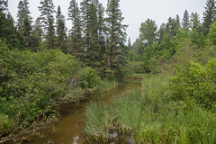 Mississippi River Headwaters