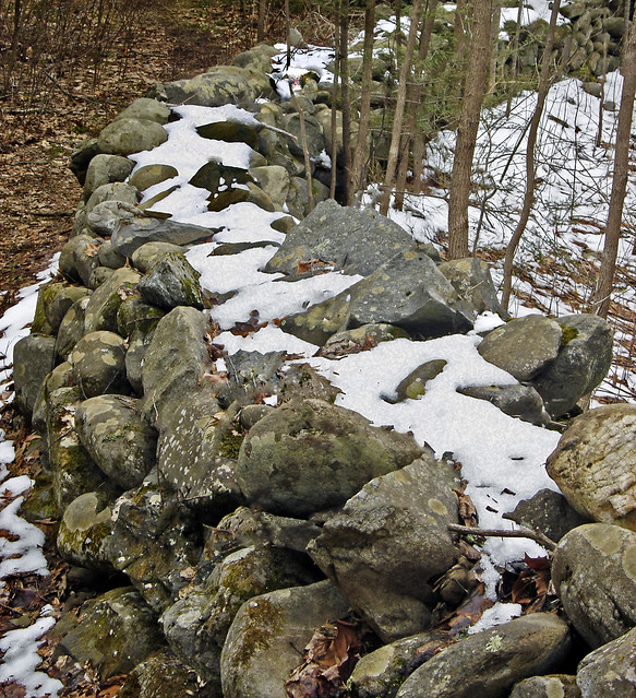 Elkmont cottage stone wall 2010 (47)