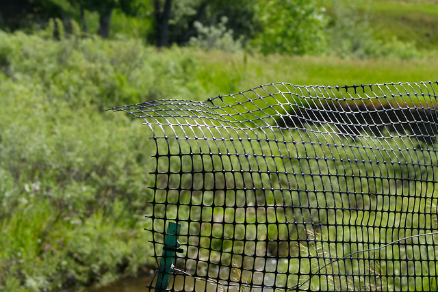 OnePlanet - Fossil Creek Rehabilitation