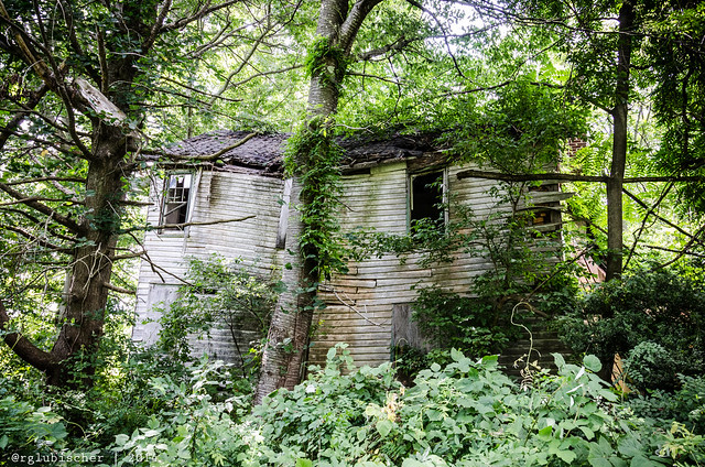 Abandoned Farmhouse - IV