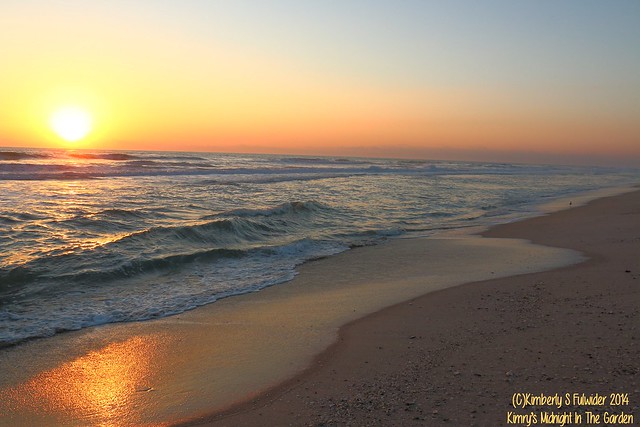 Morning light at Playalinda Beach - Explore*
