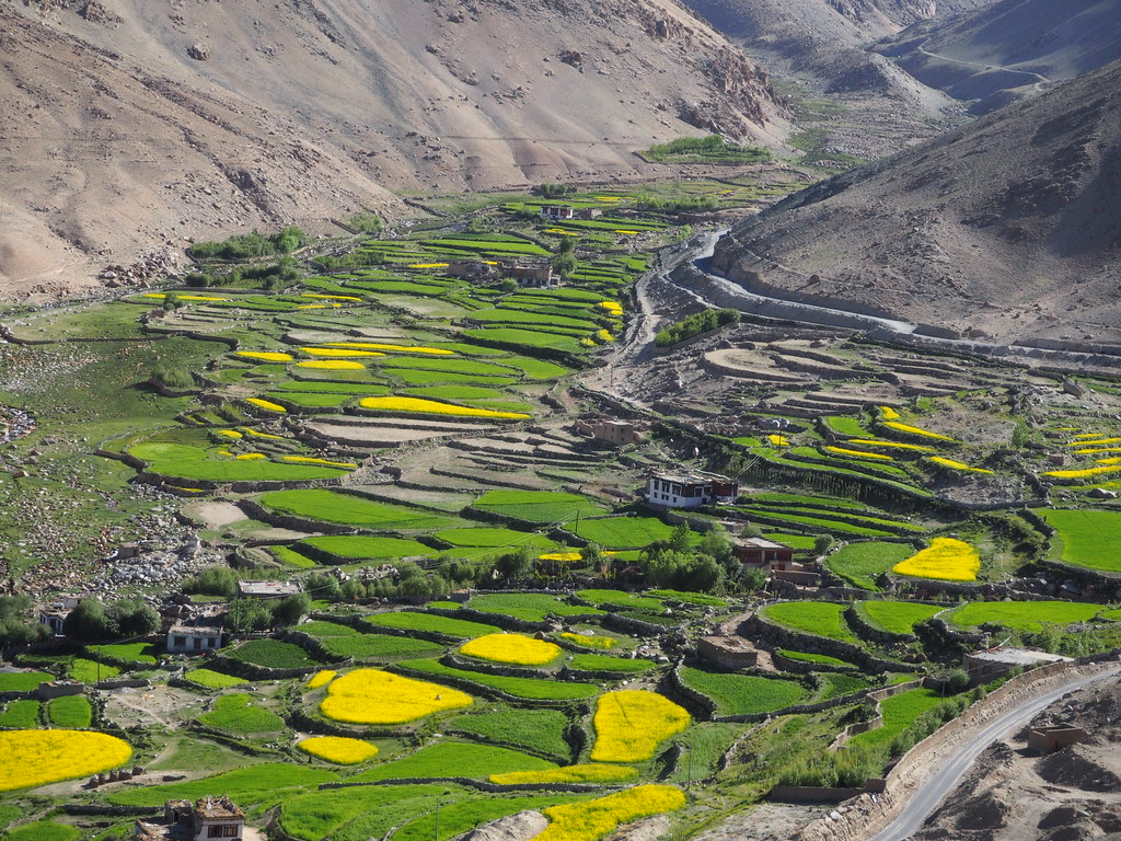 Visit Ladakh & Kashmir | India | Luxury Holidays with Steppes Travel
