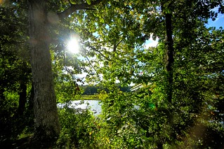 Sun filtering through efficient energy converters