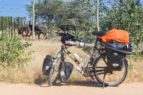 africa bicycle cycletouring cycling cyclotourisme damaraland day566 namibia ostrich sophienhof velo freewheelycom jbcyclingafrica