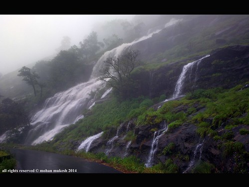 trees india mist nature rain fog awesome bangalore peak waterfalls western greenery karnataka lanscape ghats charmadi kalasa kottigehara