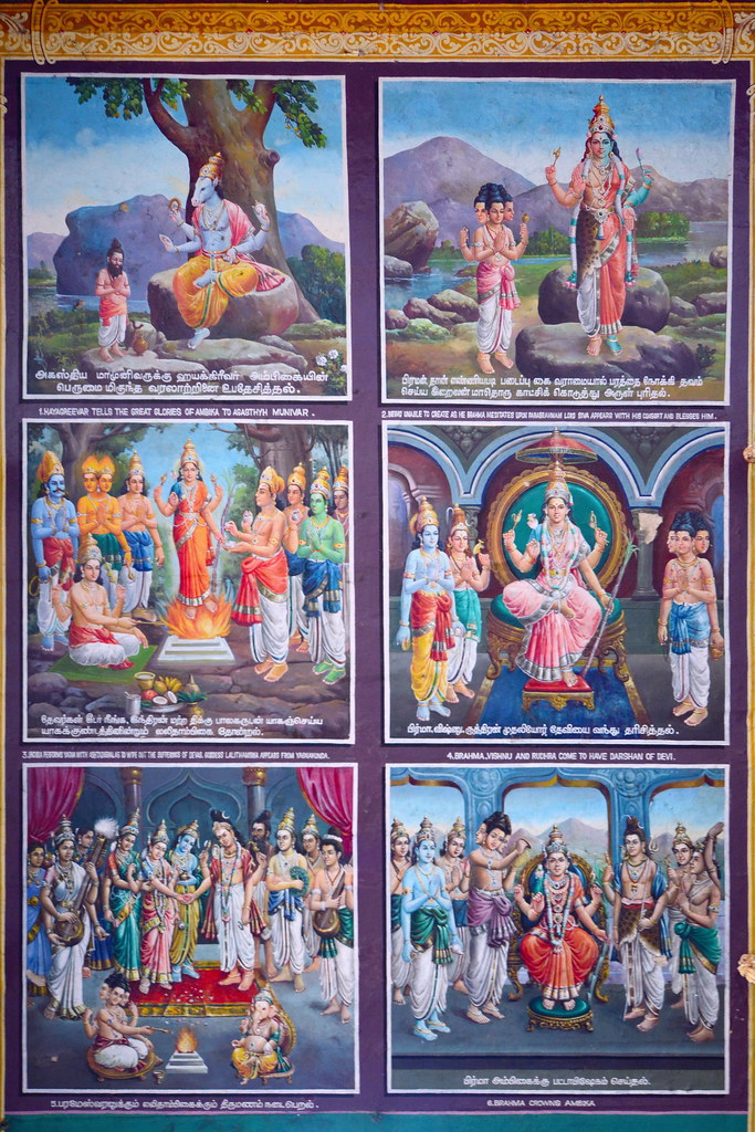 India - Tamil Nadu - Chidambaram - Nataraja Temple - Paint… | Flickr