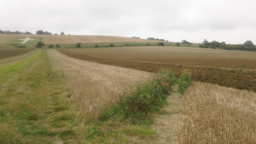 ...farmer gets a ploughed field Near Lenham, Kent