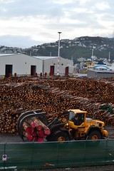 Timber in New Zealand