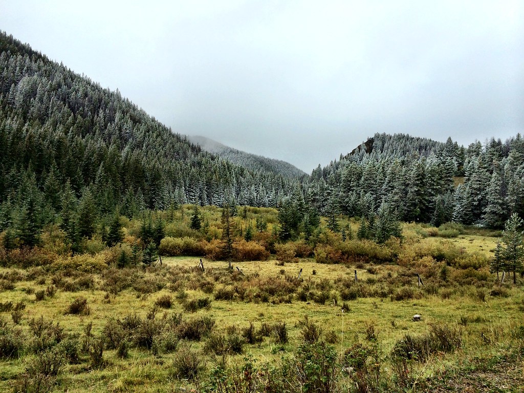 North Fork Beaver-Leavitt