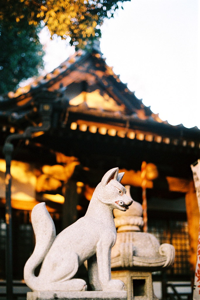 in the early evening