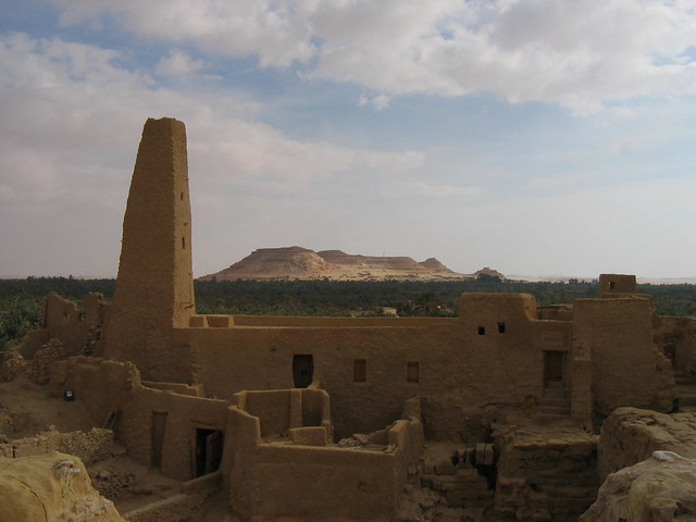 Siwa Oasis - From the Oracle