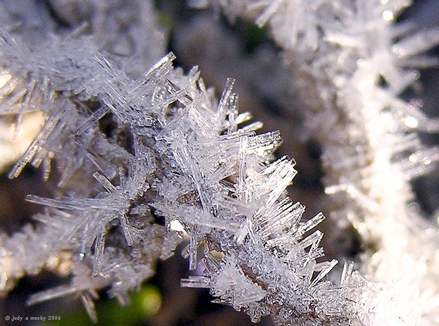 Hoar Frost~~~had these in que