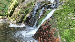 Lower Morgan Falls