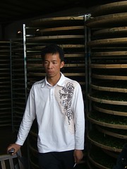 Zhenghe Hong Gong Fu producer