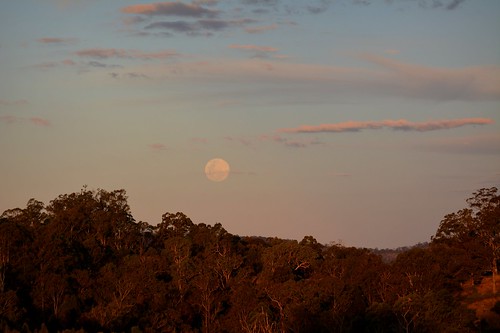 trees sunset sky moon clouds forest countryside sundown australia bluesky nsw cloudscape lateafternoon northernrivers sunsetlandscape supermoon pwpartlycloudy toonumbarstateforest