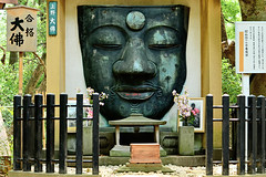 Ueno Great Buddha / 上野大仏