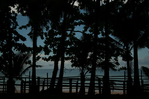 N'Gouja shadows by Eric R Porcher, ocean africa trees light sunset shadow sea beach canon dark landscape islands paradise indian lagoon