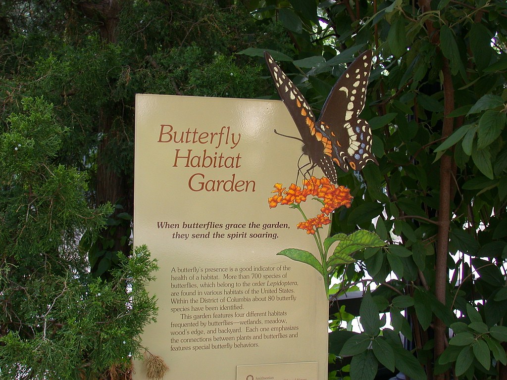 Butterfly Habitat Garden National Museum Of Natural Histor Flickr