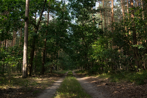 IMGP6576 by William van Dieten, deu duitsland sachsenanhalt seyda