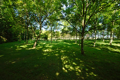Arboretum du château d’Harcourt