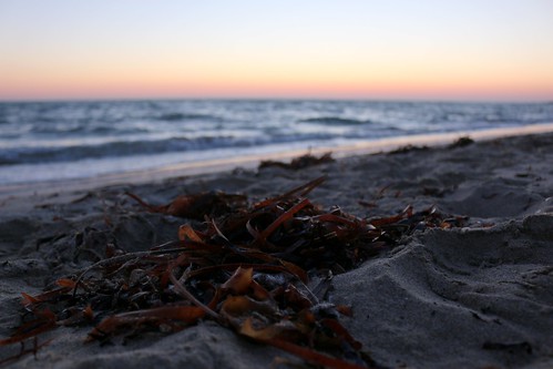 ocean beach sunrise early dunsborough downsouth