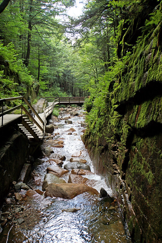 Franconia, along the trail