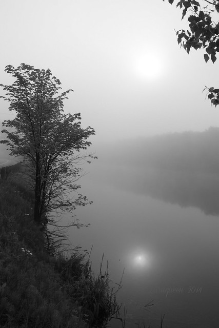 Brouillard sur la rivière Magog.