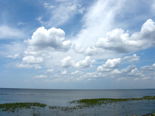 county lake beach landscapes florida palm okeechobee glades