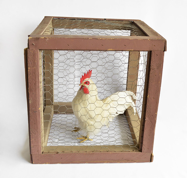 Chicken Cage Prop