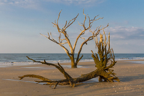 family usa beach landscape unitedstates southcarolina charleston marsh botanybay edisto edistoisland 2014