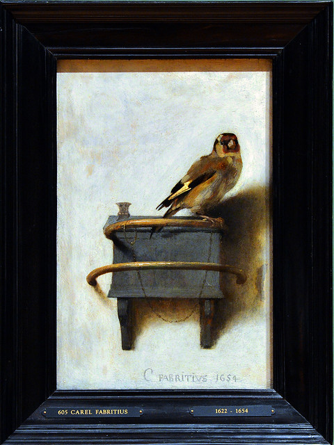 Carel Fabritius - The goldfinch