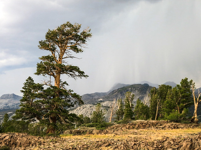 Northern Yosemite Trail (NYT) 2014