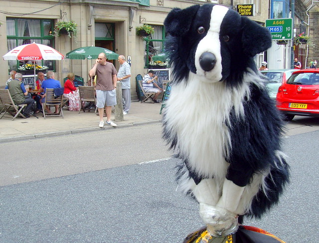 Alert dog in a Todmorden street