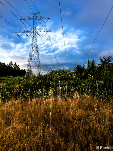 contrast digital iphone pjresnick light shadow appleiphone perryjresnick texture black ©pjresnick tree trees sky clouds apple highspeediso sunset sundown silhouette cloud shadows rentonwa renton fairwood nature phonecamera washington pnw pacificnorthwest drama color yellow brown orange grass cable blue wires weeds green iphone5s 5s cloudscape phoneography oddsends resnick cascadefairwood rectangle rectangular pjresnickgmailcom pjresnickphotographygmailcom
