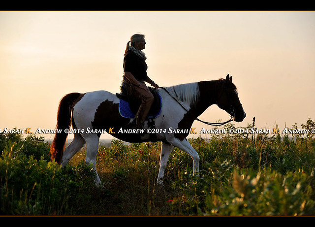 Jeane and her lovely Paint mare Scarlet during a sunset photo session last week.