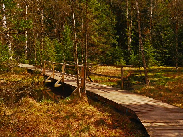 Naturresverat Kladska (Glatzener Moor) Tschechische Republik - Nature Reserve Klaska Czech Republic