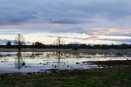 travel sunset lake reflection water washington nikon dusk ducks wa nikkor wildliferefuge ridgefield ridgefieldnationalwildliferefuge d7000 nikond7000 18105mmf3556gedafsvrdx