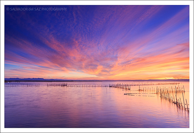 L'Albufera lake sunset II
