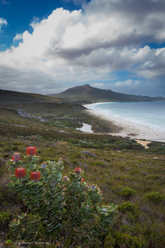 beach landscape australia granite albany inlet banksia moutain westernaustralia normans cheynes waychinicup manypeaks