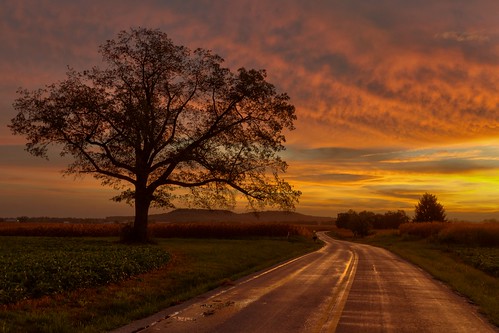 road orange tree clouds sunrise oak kentucky country pilotknob
