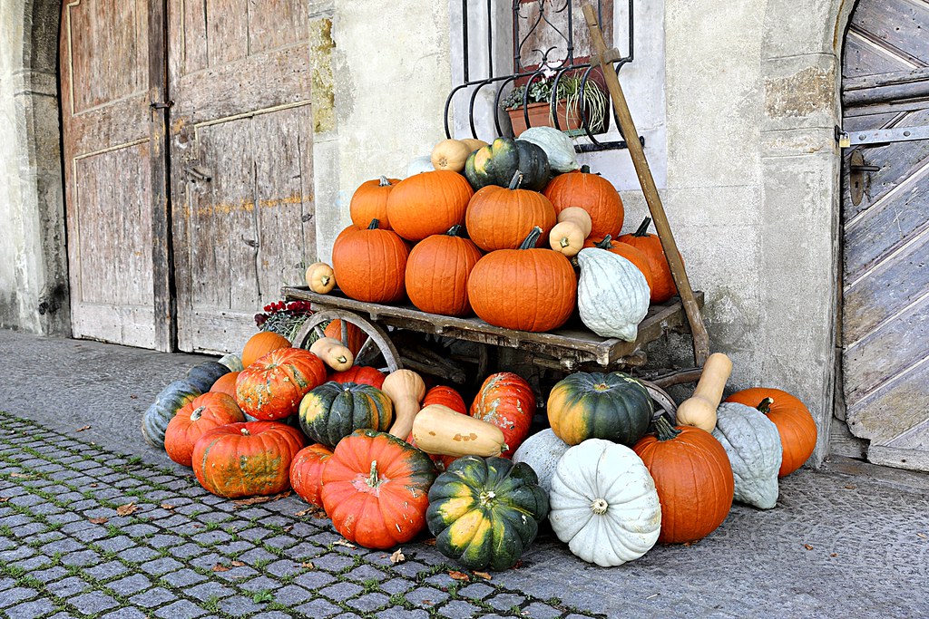 Autumn also means pumpkins