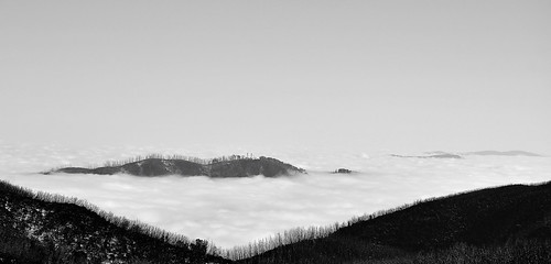 winter bw cloud snow weather fog clouds mono nikon australia monotone victoria vic fallscreek abovetheclouds deadtrees alpinenationalpark bighill northeastvictoria bogonghighplains kiewavalley d5100 nikond5100 phunnyfotos