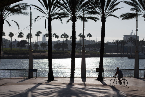 Long Beach by adalberto.neto.752, california sunset usa bike palmtrees longbeach eua