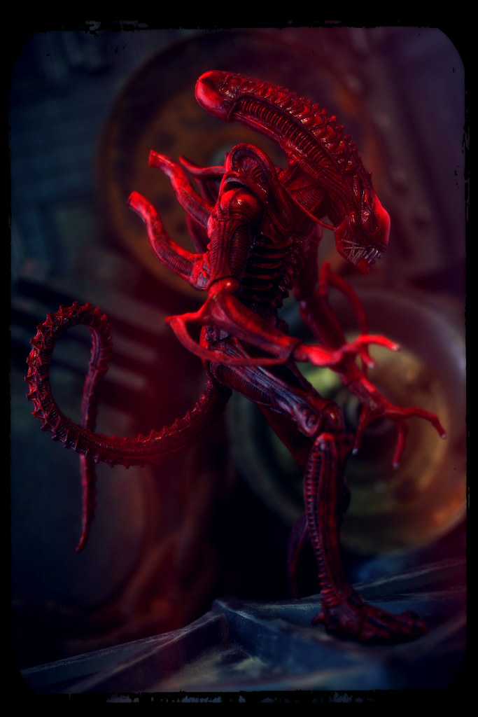 Aliens Red Xenomorph Genocide Comic