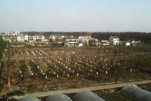 Mix of farming and apartments north of Shanghai Pudong Airport