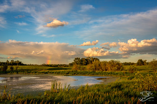 Ranbow Over a Pond